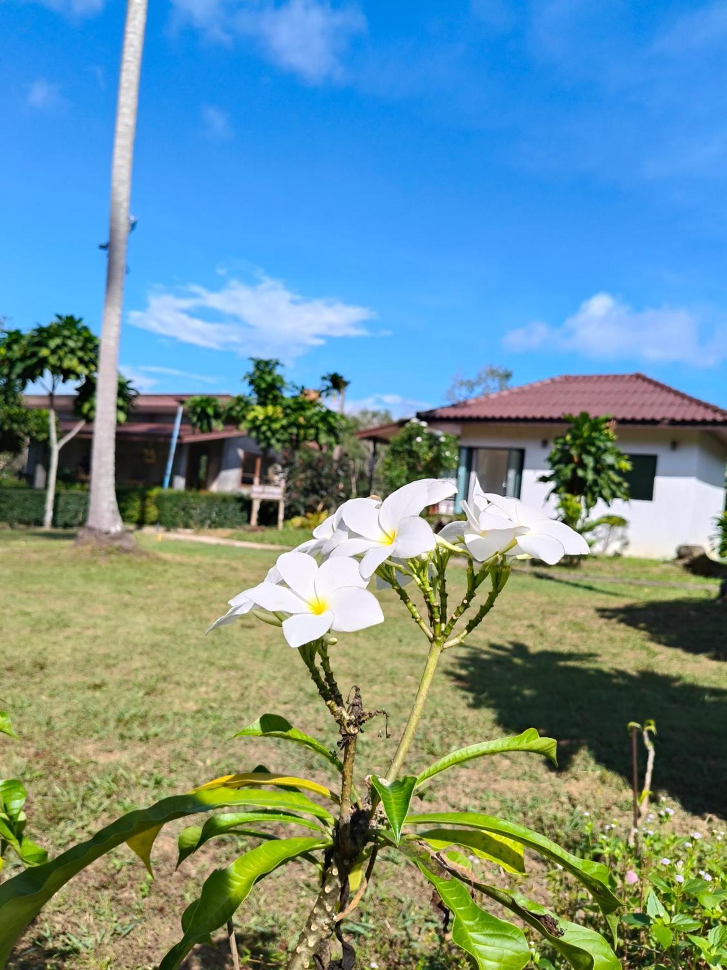 Ko Kut The Lodge At Koh Kood מראה חיצוני תמונה